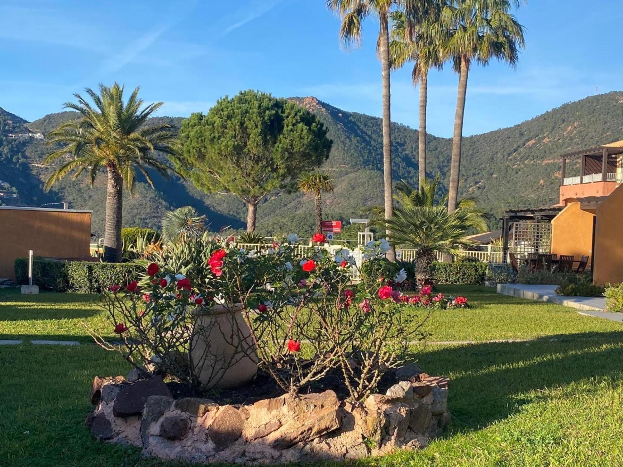 Vue Mer Et Jardin Théoule-sur-Mer Exteriör bild